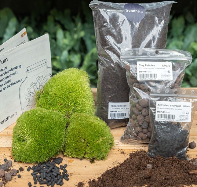 Terrarium Start- & navulpakket -  Maat L/XL - DIY