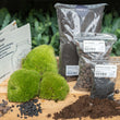 Planten terrarium - Navulling - Startpakket - DIY - Maat L/XL