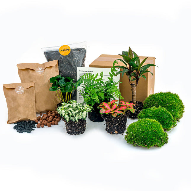 Planten terrarium pakket - Jungle 5 - Navulling & Startpakket- DIY