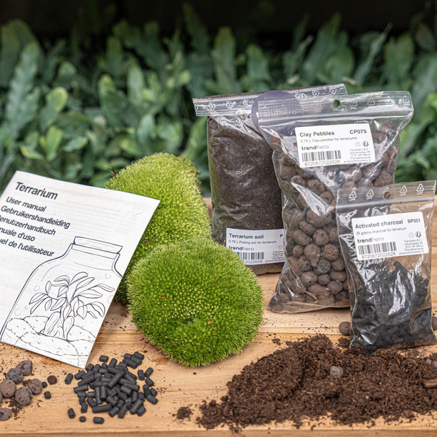 Planten terrarium - Navulling - Startpakket - DIY - Maat S/M
