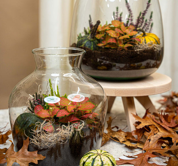 Het is herfst!