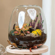 Emma Autumn - Herfst plantenterrarium met herfst decoratie - DIY-kit - Ø 23 cm ↑ 25 cm