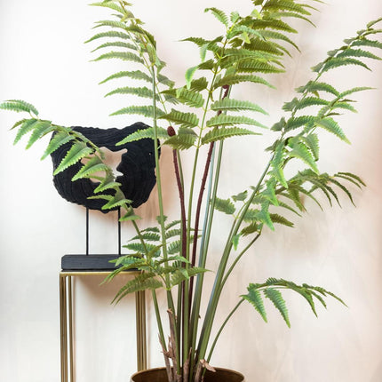 Kunstplant - Rumohra Adiantiformis - Ledervaren - 150 cm