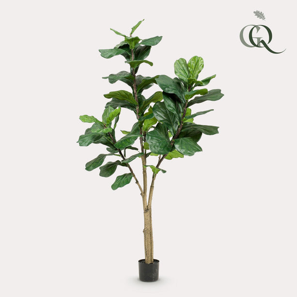 Kunstplant - Ficus Lyrata - Tabaksplant - 180 cm