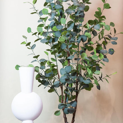 Kunstplant - Eucalyptus - Blauwe Gomboom  - 180 cm