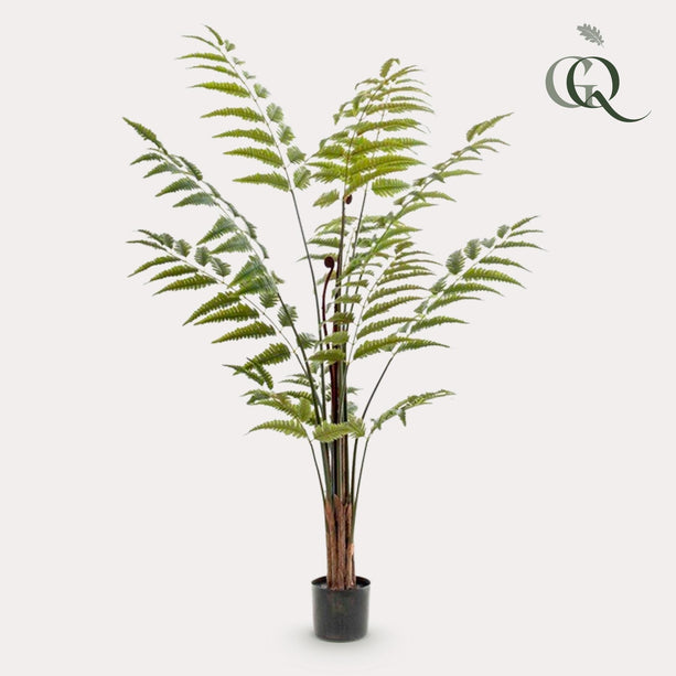 Kunstplant - Rumohra Adiantiformis - Ledervaren - 150 cm