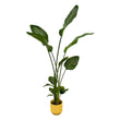 Strelitzia Nicolai inclusief elho Vibes Fold Round geel - ↑ 100 cm - Ø18