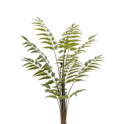 Kunstplant - Rumohra Adiantiformis - Ledervaren - 150 cm