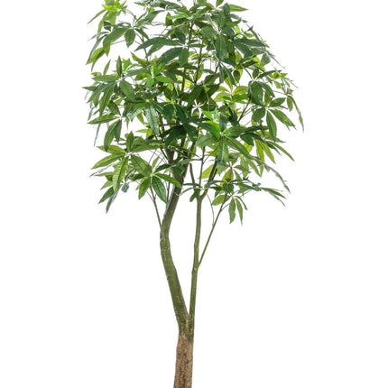 Kunstplant - Pachira Aquatica - Geldboom - 180 cm