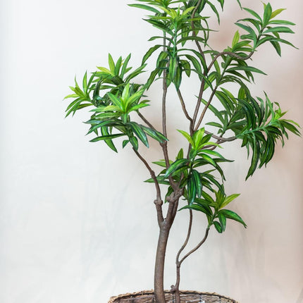 Kunstplant - Dracaena - Drakenboom - 190 cm