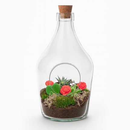 Love in a Bottle - DIY Planten terrarium - Open - Ecosysteem plant - Ø 16 cm ↑ 30 cm - Valentijn cadeau tip!