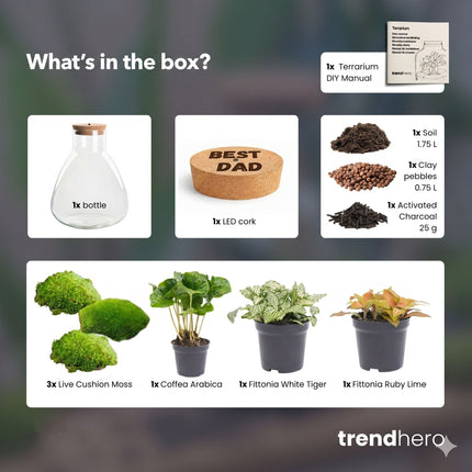 Vaderdag terrarium Sam + gepersonaliseerde gegraveerde kurk met verlichting - Flessentuin DIY kit - Ø 24,5 cm ↑ 30 cm