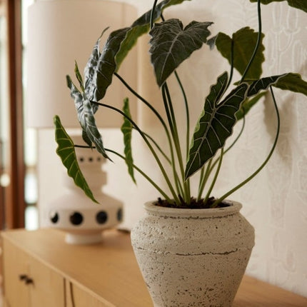 Alocasia - 80 cm hoog - Kunstplant