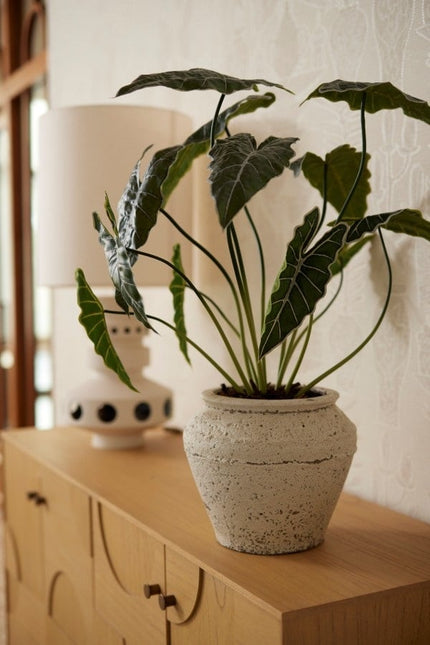 Alocasia - 80 cm hoog - Kunstplant