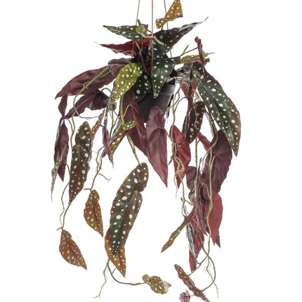Kunstplant - Begonia Maculata - Stippenbegonia - 80 cm