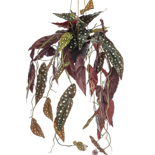 Kunstplant - Begonia Maculata - Stippenbegonia - 80 cm