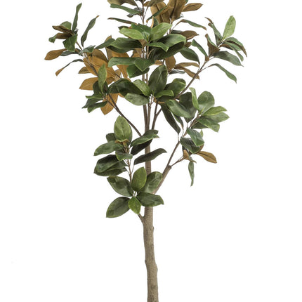 Kunstplant - 180 cm - Magnolia Grandiflora