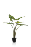 Kunstplant - Alocasia Frydek - Olifantsoor - ↑ 80 cm