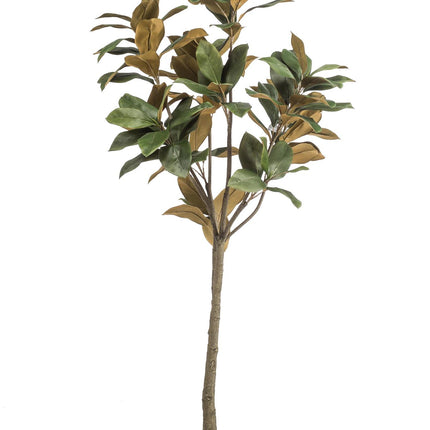 Kunstplant - 150 cm - Magnolia Grandiflora