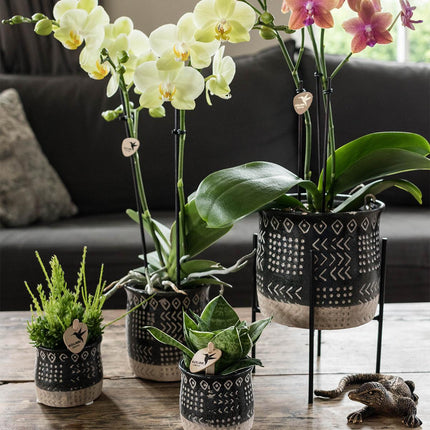Kolibri Home | Plantenstandaard - Zwart metalen planten verhoging - Ø 12 cm