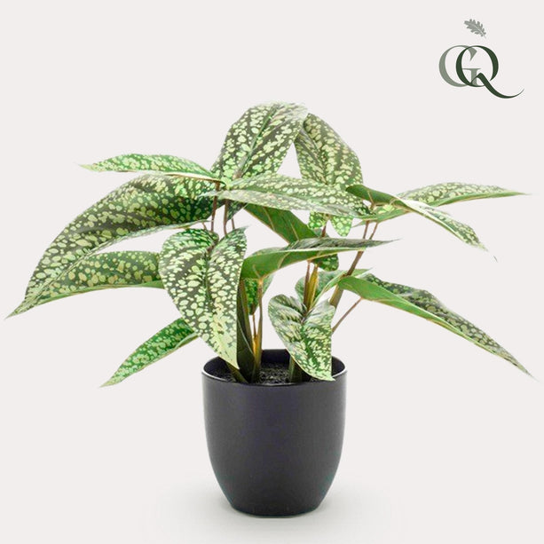 Kunstplant - Calathea Dots - Schaduwplant - ↑ 38 cm