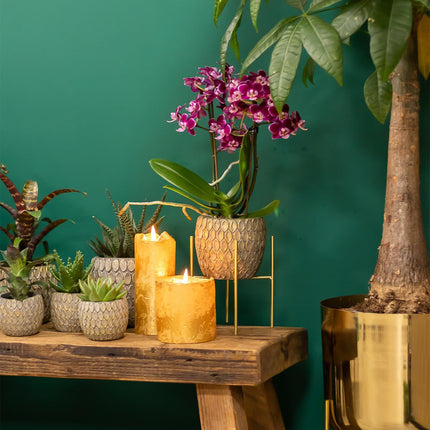 Kolibri Home | Plantenstandaard - Gouden metalen planten verhoging - Ø 12 cm