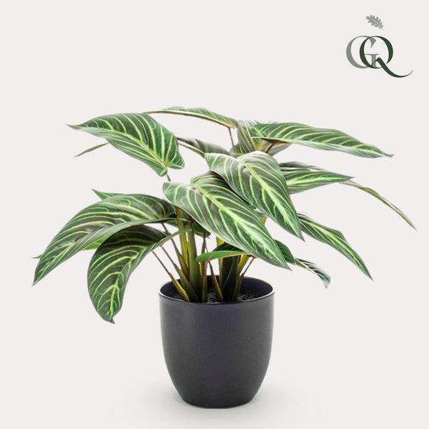 Kunstplant - Calathea Zebrina - Schaduwplant - ↑ 38 cm