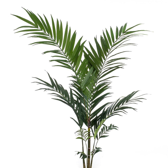 Kunstplant - Kentia -Kentiapalm - 150cm