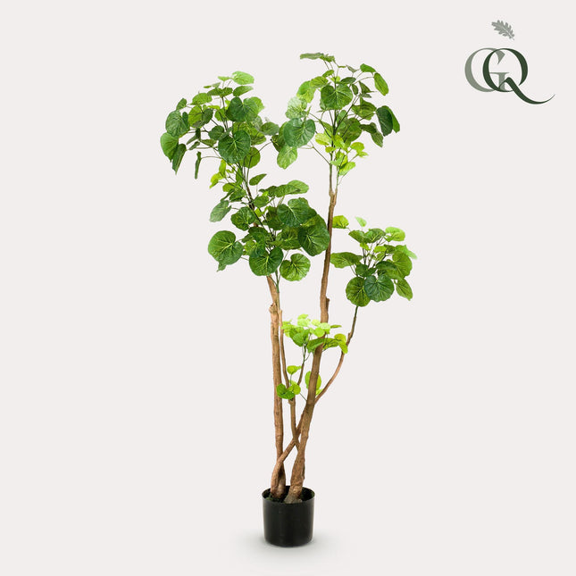 Kunstplant - Polyscias - Aralia - 140 cm