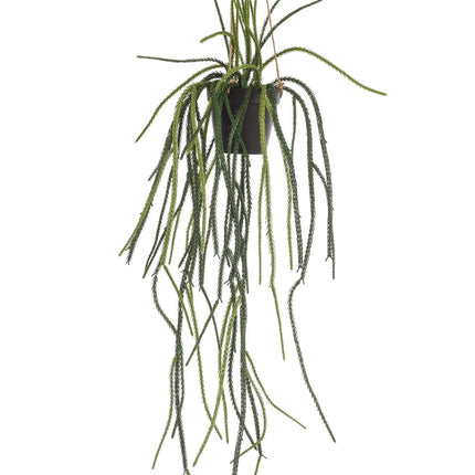 Kunstplant - Rhypsalis - Koraalcactus - 85 cm