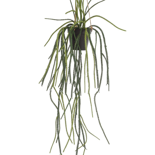 Kunstplant - Rhypsalis - Koraalcactus - 85 cm