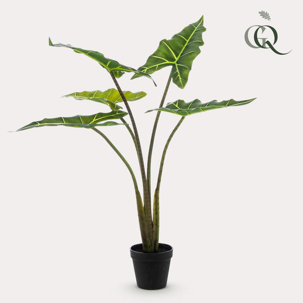 Kunstplant - Alocasia Frydek - Olifantsoor - ↑ 80 cm