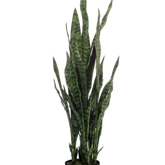 Kunstplant - Sanseveria black coral - Vrouwentong - 97 cm
