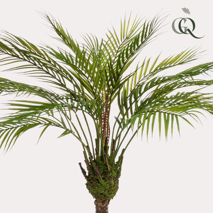 Kunstplant - Chamaedorea - Bergpalm - ↑ 85 cm
