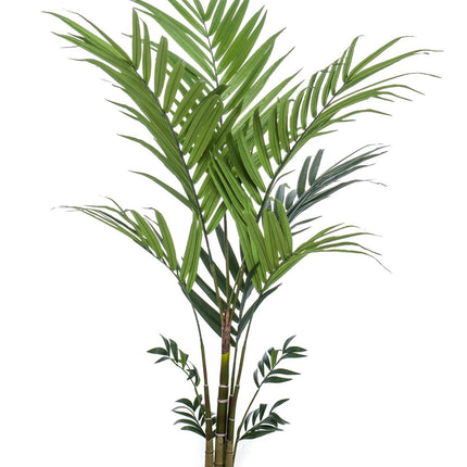 Kunstplant - Kentia -Kentiapalm - 180 cm