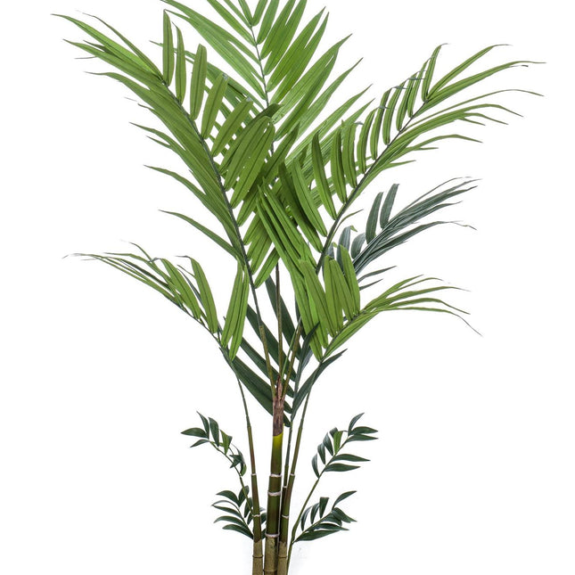 Kunstplant - Kentia -Kentiapalm - 180 cm