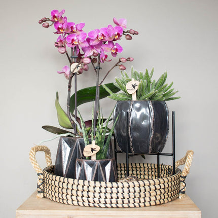 Kolibri Home | Plantenstandaard - Zwart metalen planten verhoging - Ø 12 cm