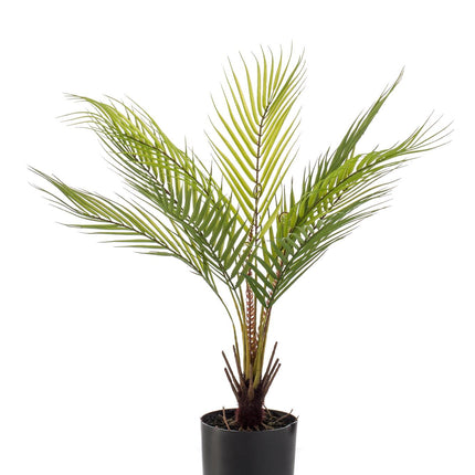 Kunstplant - Chamaedorea - Bergpalm - ↑ 50 cm