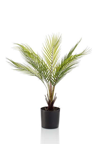 Kunstplant - Chamaedorea - Bergpalm - ↑ 50 cm