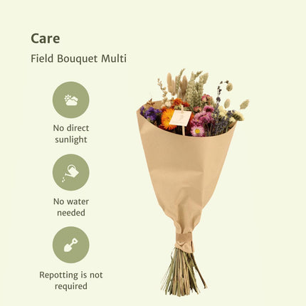 Droogbloemen Veldboeket Multi - Ø 20 cm - ↑ 50 cm