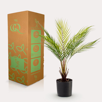 Kunstplant - Chamaedorea - Bergpalm - ↑ 50 cm