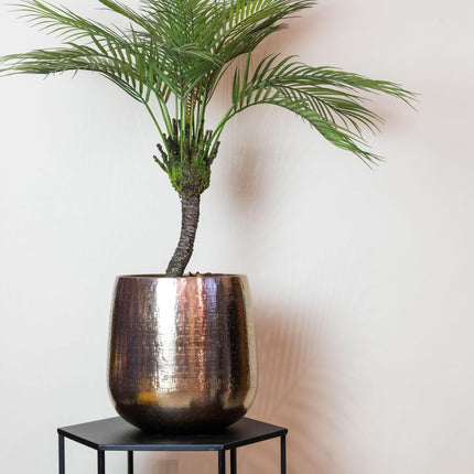 Kunstplant - Chamaedorea - Bergpalm - ↑ 85 cm