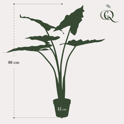 Kunstplant - Alocasia Frydek - Olifantsoor - ↑ 80 cm
