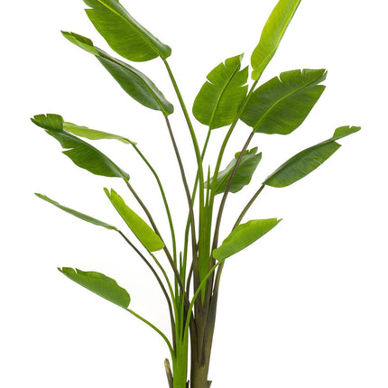 Kunstplant - Strelitzia Nicolai - Paradijsvogelbloem - 180 cm