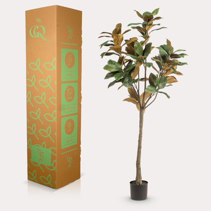 Kunstplant - 150 cm - Magnolia Grandiflora