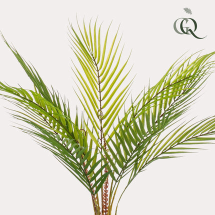 Kunstplant - Chamaedorea - Bergpalm - ↑ 50 cm