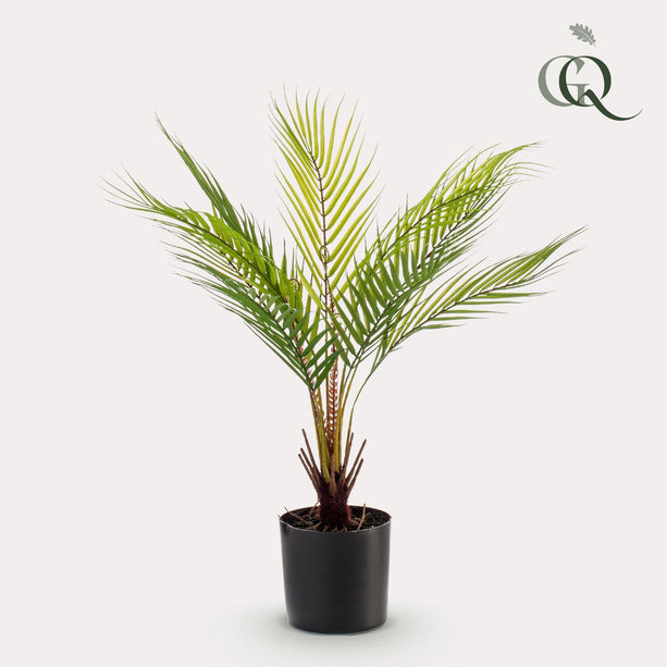 Kunstplant - Chamaedorea - Bergpalm - ↑ 50 cm