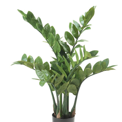 Kunstplant - Zamioculcas - Kamerpalm - 70 cm
