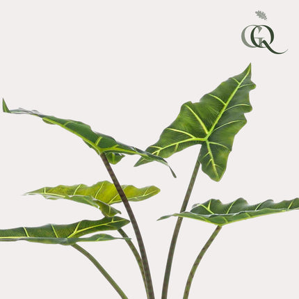 Kunstplant - Alocasia Frydek - Olifantsoor - ↑ 80 cm