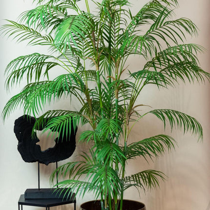 Kunstplant - Chamaedorea Elegans - Bergpalm - 180 cm